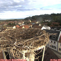 08_30-nest.jpg