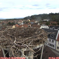 08_35-nest.jpg
