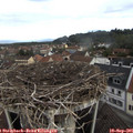 08_40-nest.jpg