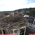 08_45-nest.jpg