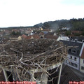 08_50-nest.jpg