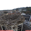 08_55-nest.jpg