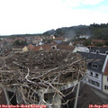 09_05-nest.jpg