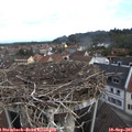 09_10-nest.jpg