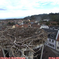 09_15-nest.jpg