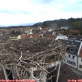 09_20-nest.jpg
