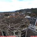 09_25-nest.jpg