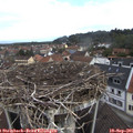 09_30-nest.jpg