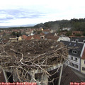 09_45-nest.jpg