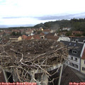 10_05-nest.jpg