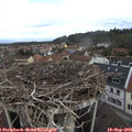 10_10-nest.jpg