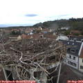 10_15-nest.jpg