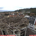 10_20-nest.jpg