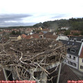 10_25-nest.jpg