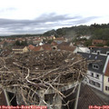 10_30-nest.jpg