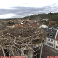 10_35-nest.jpg