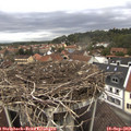 10_40-nest.jpg