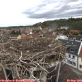 10_55-nest.jpg