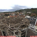 11_15-nest.jpg