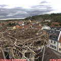 11_25-nest.jpg