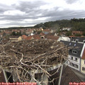 11_35-nest.jpg