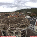 11_40-nest.jpg