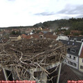 11_45-nest.jpg