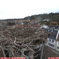 11_55-nest.jpg