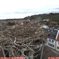 12_00-nest.jpg