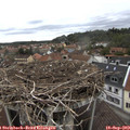 12_05-nest.jpg