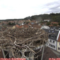 12_15-nest.jpg