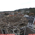 12_20-nest.jpg