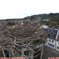 12_30-nest.jpg