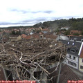 12_35-nest.jpg