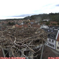 12_40-nest.jpg