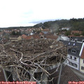 12_45-nest.jpg