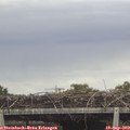 12_50-mast.jpg