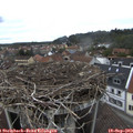 13_00-nest.jpg