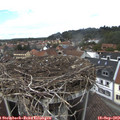 13_05-nest.jpg