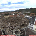 13_10-nest.jpg