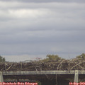 13_15-mast.jpg
