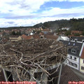 13_15-nest.jpg