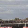 13_20-mast.jpg