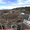 13_20-nest.jpg