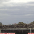13_30-mast.jpg