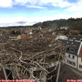 13_30-nest.jpg