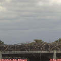 13_35-mast.jpg