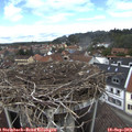 13_35-nest.jpg
