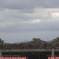 13_45-mast.jpg