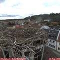 13_45-nest.jpg